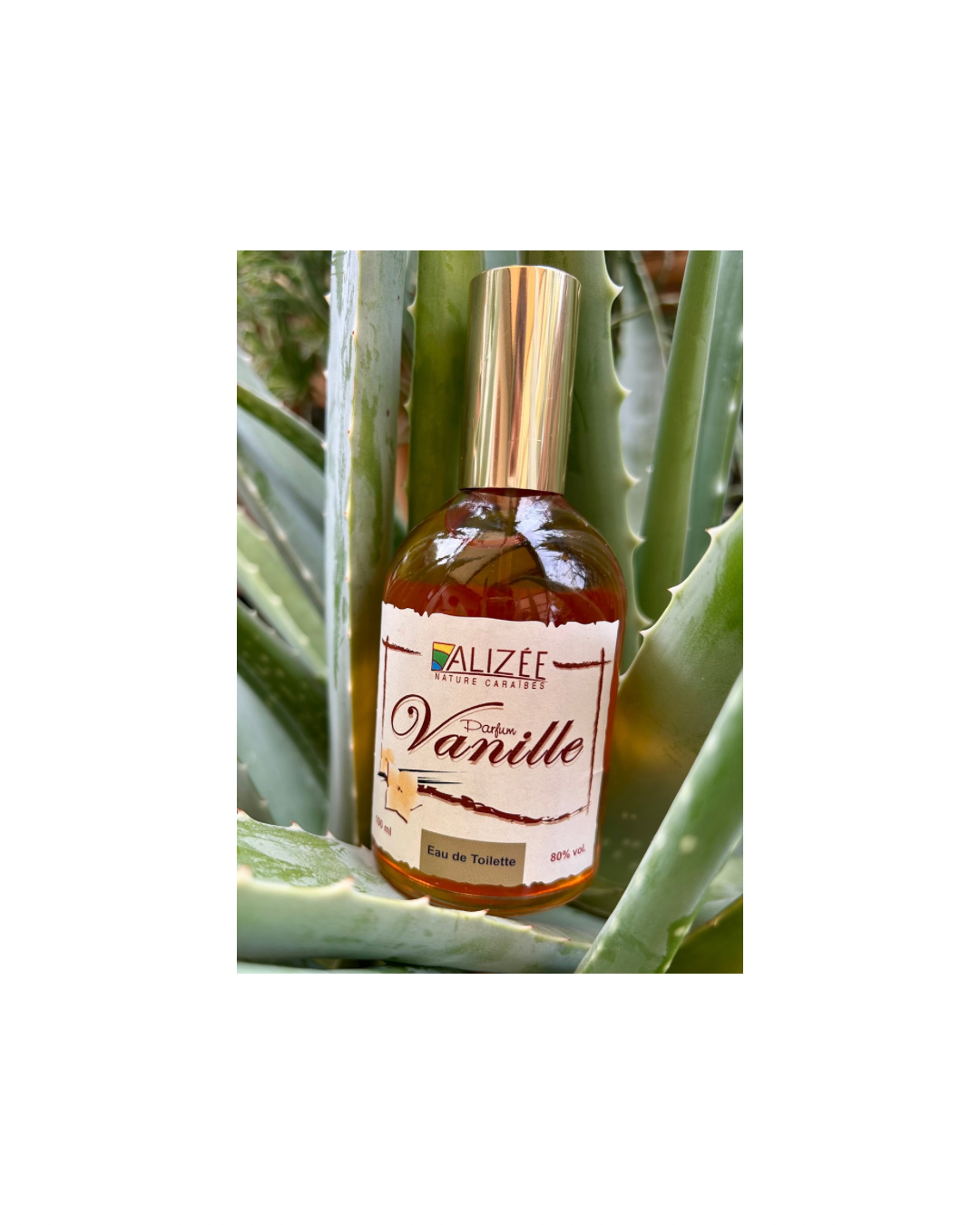 Eau de toilette parfum vanille de Guadeloupe