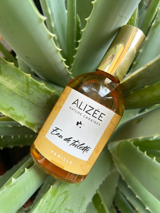 Eau de toilette parfum vanille de Guadeloupe 100 ml
