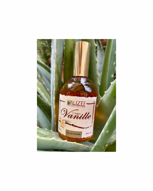 Eau de toilette parfum vanille de Guadeloupe