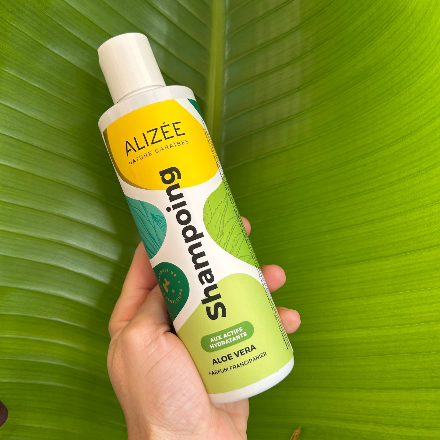 Shampooing Hydratant Aloe Vera de Guadeloupe